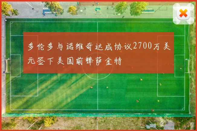 多伦多与诺维奇达成协议2700万美元签下美国前锋萨金特